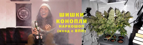 mix Богородицк